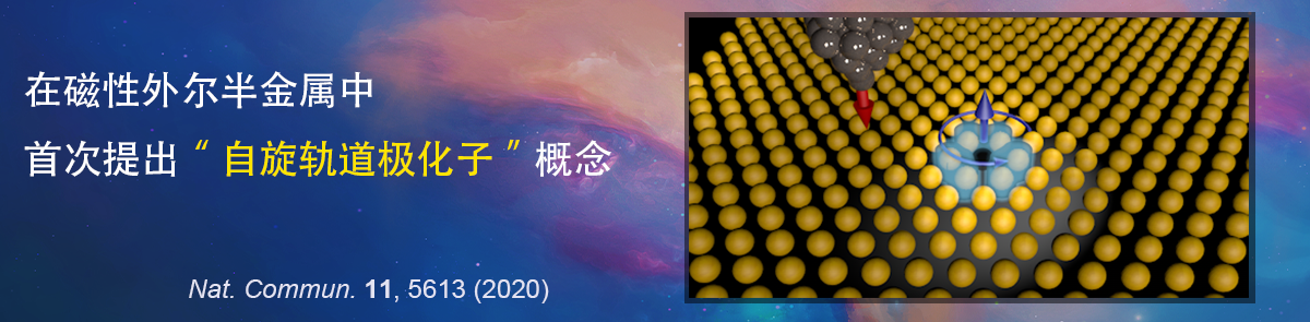 在磁性外尔半金属中首次提出“自旋轨道极化子”概念